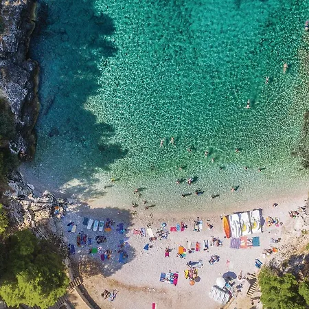 Apartment Amazing In With Wifi *