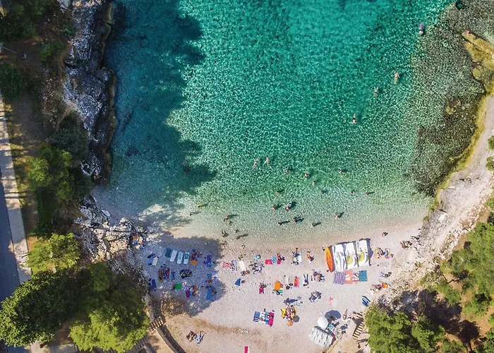 Apartment Amazing In With Wifi *